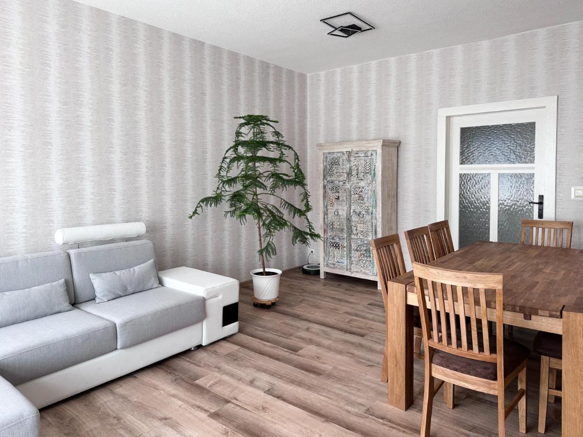 Schoene Altbauwohnung Mit Grosser Sonnenterrasse Rudolstadt Exterior foto